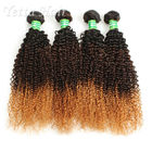 Kinky Curly 100g 7A Brazilian Virgin Hair Three Tone Dyeable